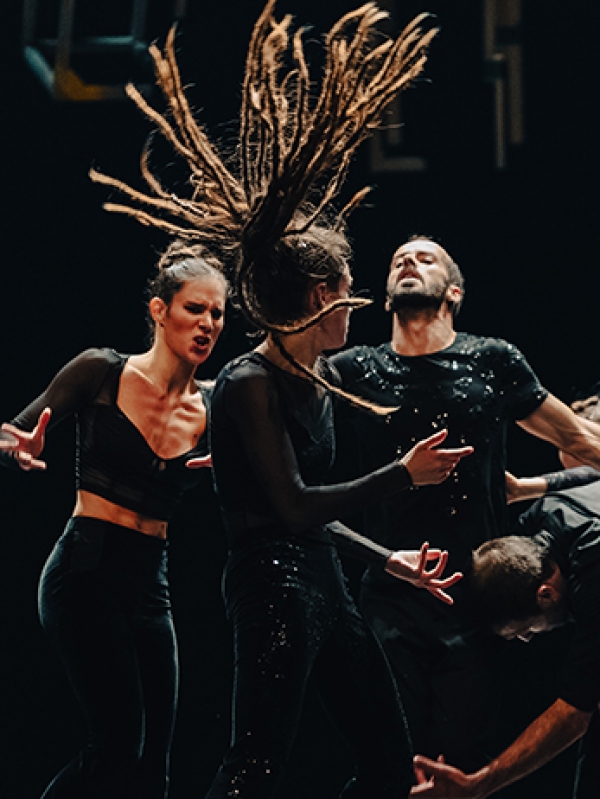 DAN&Ccedil;A - SEGUNDA de PAULO RIBEIRO | produ&ccedil;&atilde;o COMPANHIA PAULO RIBEIRO | COPRODU&Ccedil;&Atilde;O TEATRO VIRIATO | 19 e 20 NOV